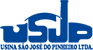 Logo Usina Pinheira
